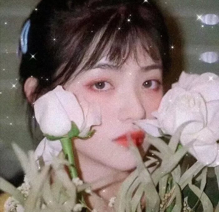 单身初恋日记